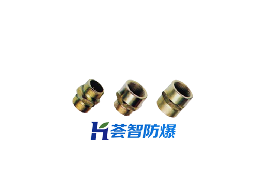 BGJ防爆管接頭（可定制）